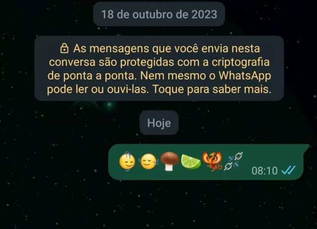 WhatsApp Beta ganha 6 novos emojis no Android - Campos 24 Horas | Seu ...