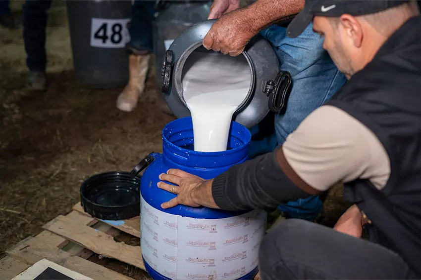 Concurso Leiteiro chega à terceira ordenha na 41ª ExpoAgro